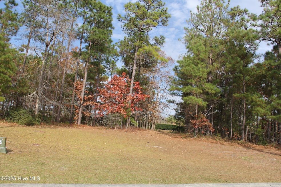 1193 Sabel Loop SE, Lockwoods Folly, NC 28422 - photo 1