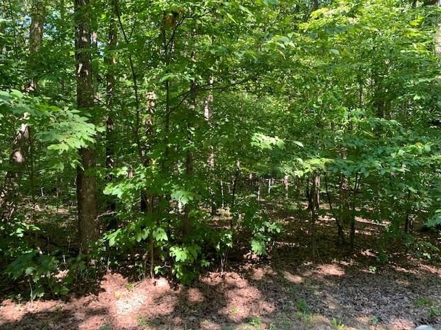 0 Lucian Sorrel Rd, Broken Bow, OK 74728 - photo 1