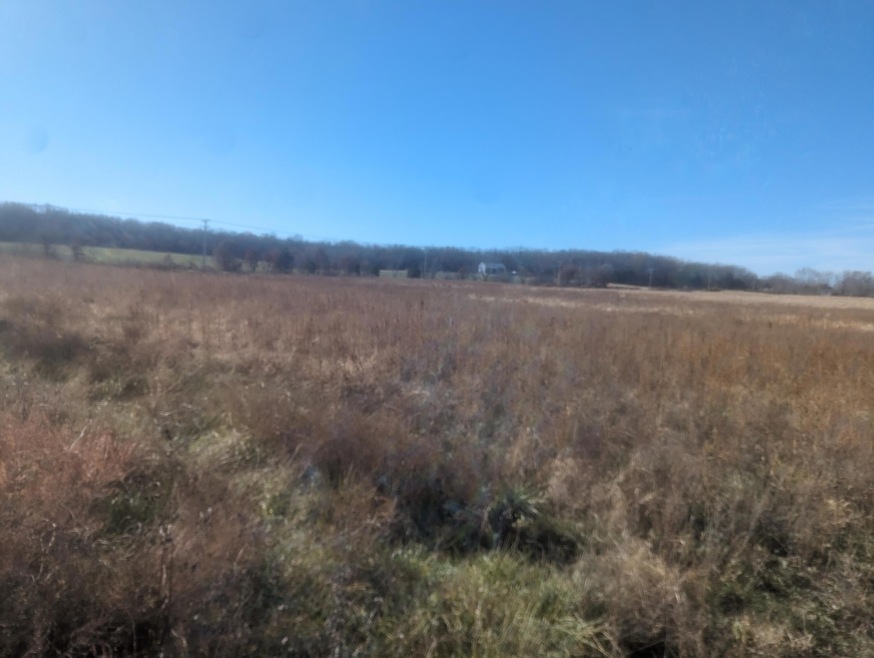 PXL_20231122_172009702