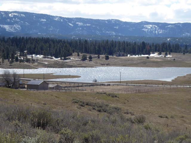 Main View