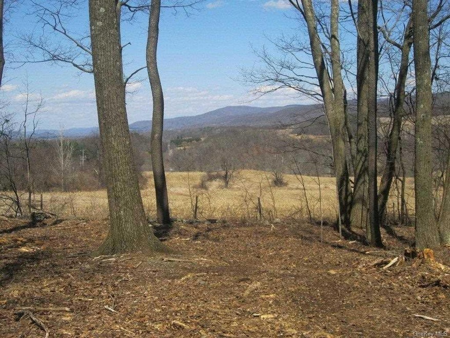 0 Bean River Rd unit ONEHM380053, Pine Plains, NY 12567 - photo 1