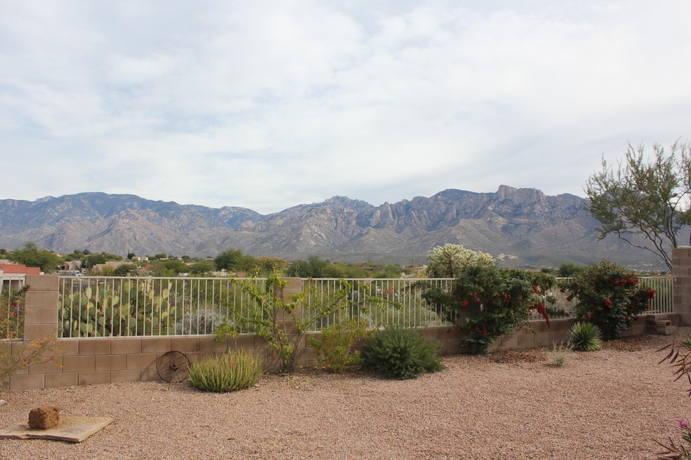 Rear yard 3