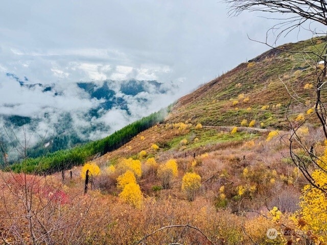 14638 US Hwy 2, Leavenworth, WA 98826 - photo 1