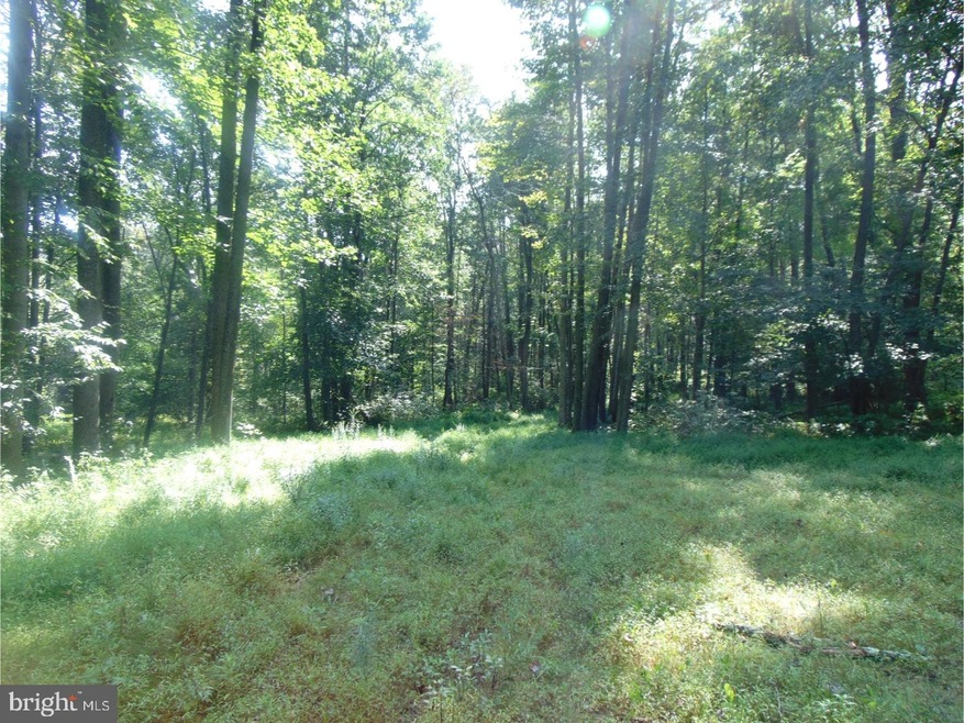 0 Indian Run Rd unit 1001243297, New Ringgold, PA 17960 - photo 1