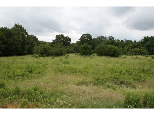 10.81 ac Fm 698, Nacogdoches, TX 75964 - photo 1