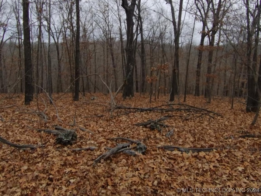 463977 Whitewater Ridge Rd, Proctor, OK 74457 - photo 1