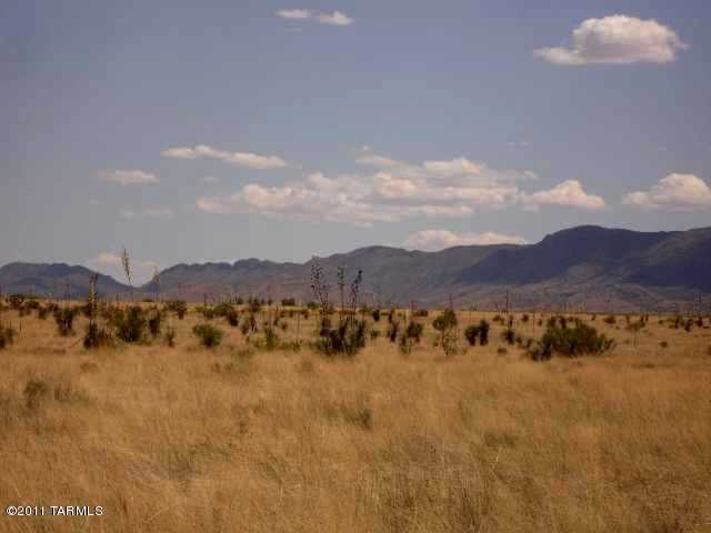 surrounding views