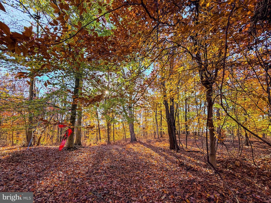 0 Goaway Road #1, Hedgesville, WV 25427 - photo 1