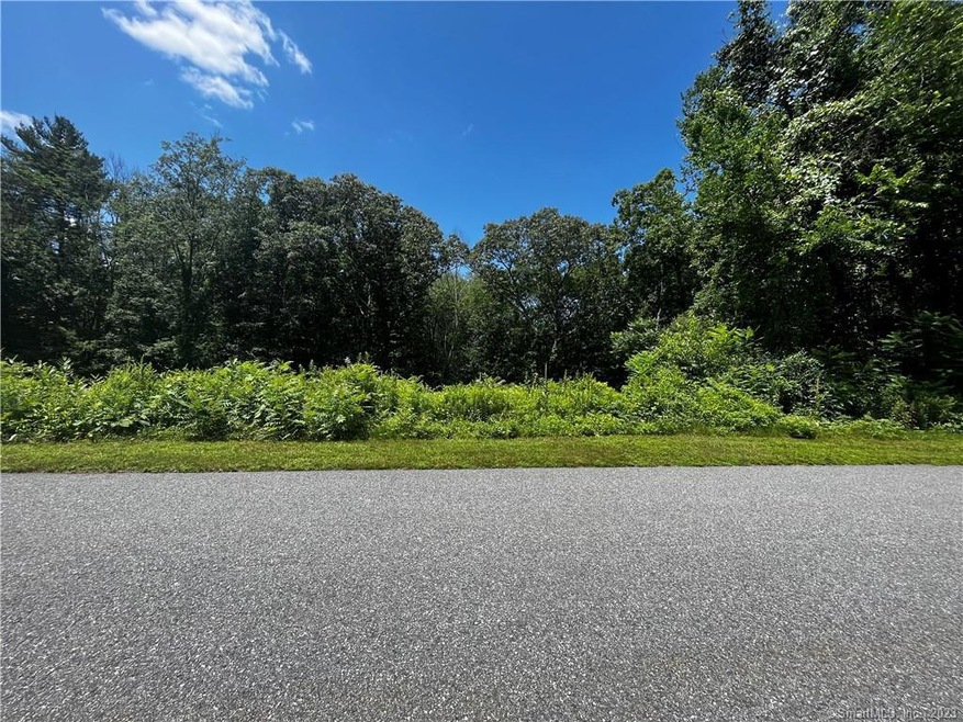 4 Olde Meadow Rd, Woodstock, CT 06281 - photo 1