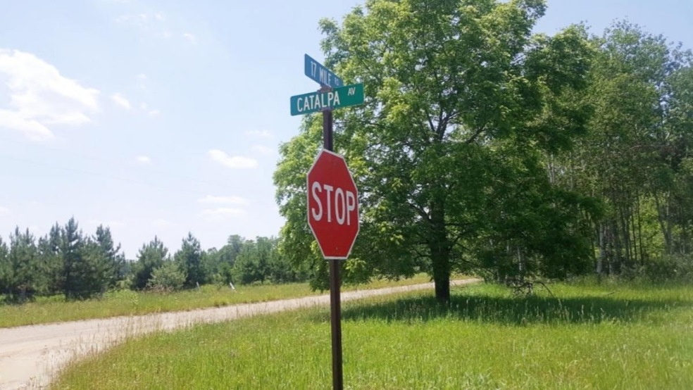 PAR B W 17 Mile Rd, Lilley Township, MI 49309 - photo 1