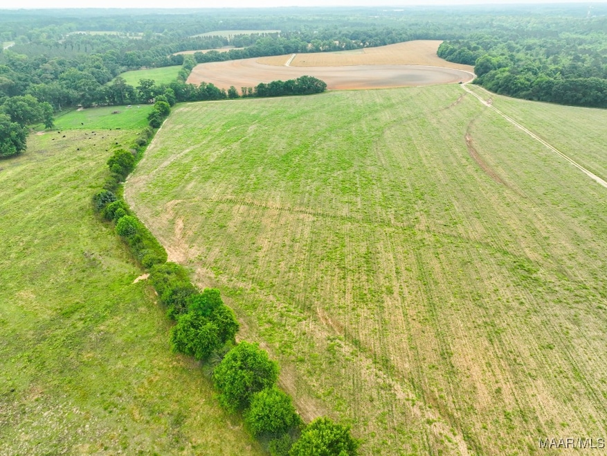 2833 Omussee Rd, Dothan, AL 36303 - photo 1