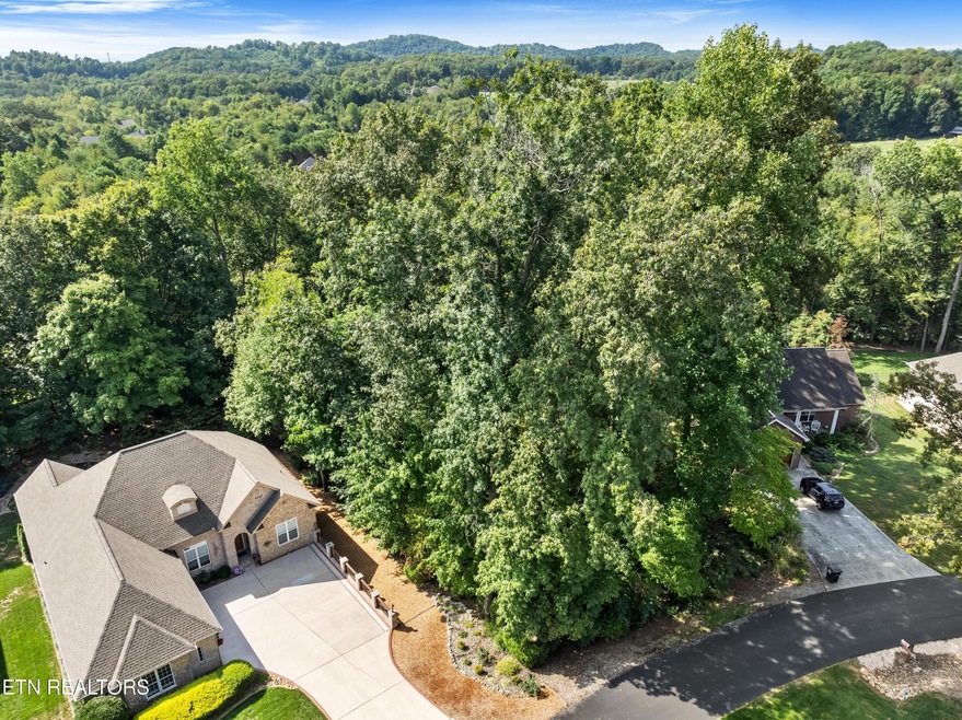 252 Mialaquo Cir, Loudon, TN 37774 - photo 1