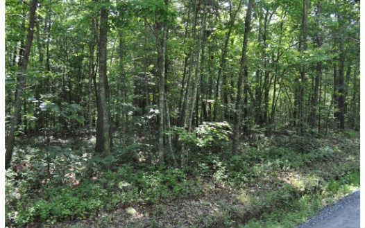 0 Lowery Rd unit 240872, Morganton, GA 30560 - photo 1