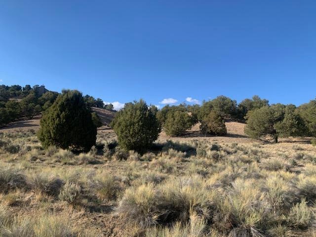 Land View