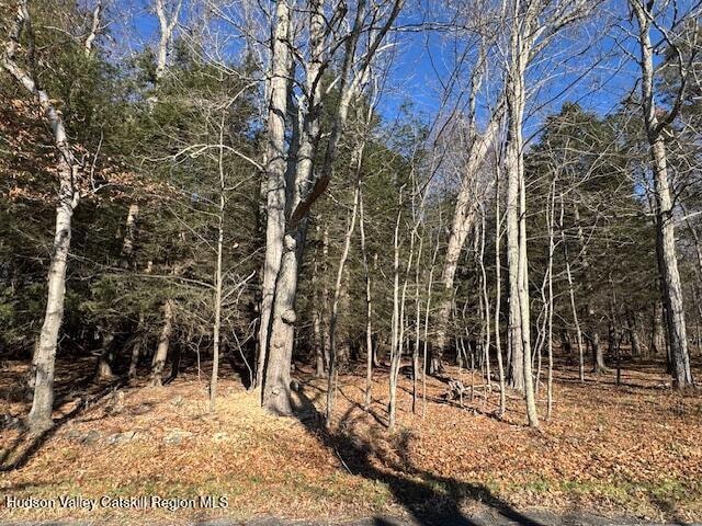 Tbd Park, Lexington, NY 12452 - photo 1