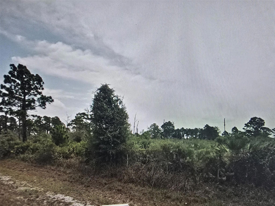 685 N Willow St, Montura, FL 33440 - photo 1