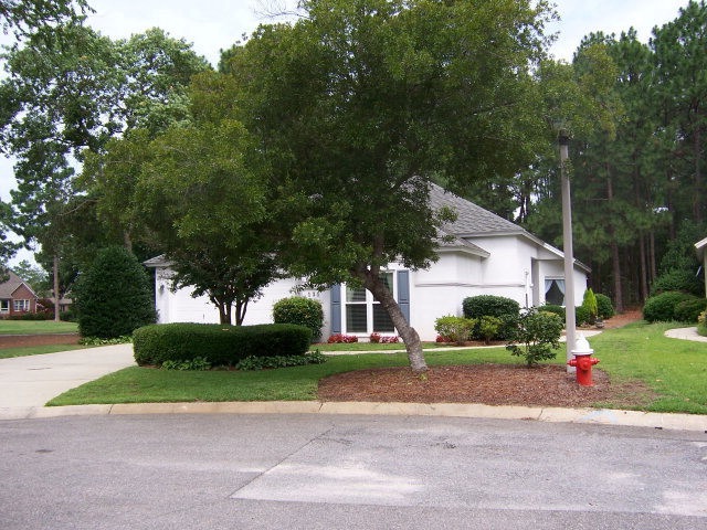 Main View