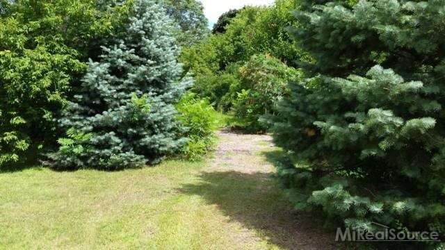 This is a view of the vacant lot.