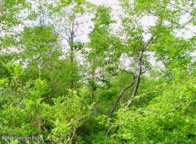 955 N Black Birch Dr, Tobyhanna Township, PA 18334 - photo 1