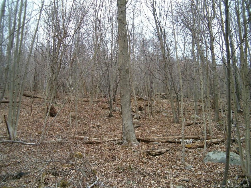 2 and 3 Great Hill Rd, Cornwall, CT 06753 - photo 1