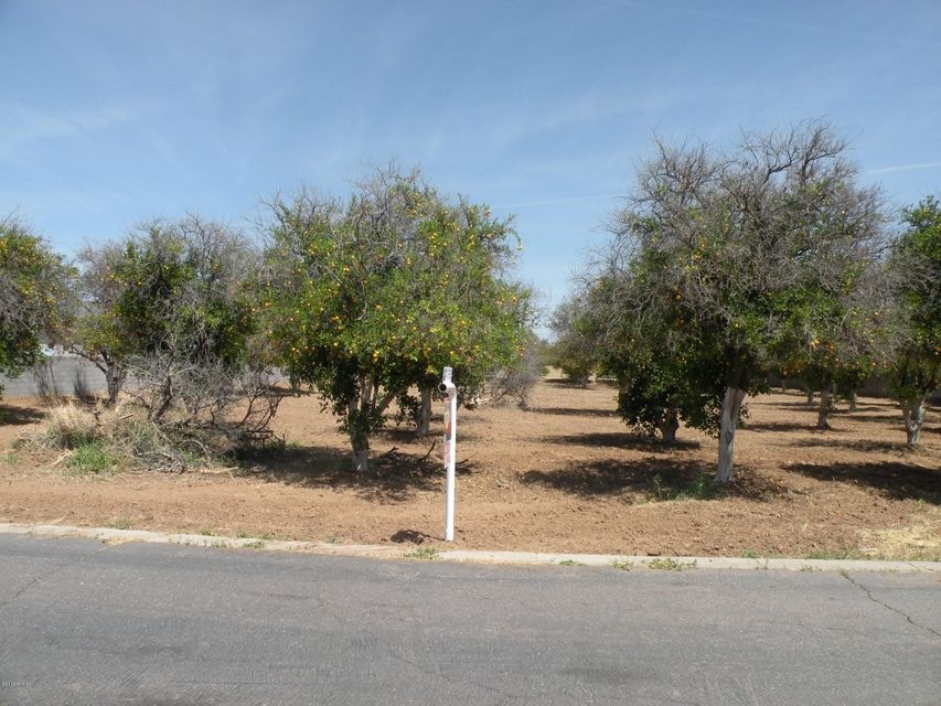 front of lot