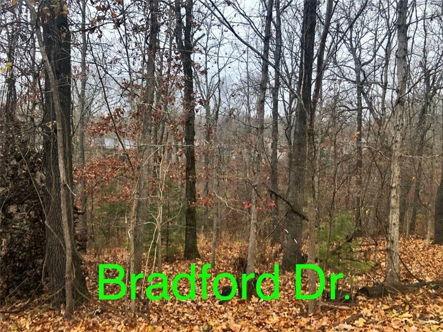 -- Bradford Dr, Bella Vista, AR 72715 - photo 1