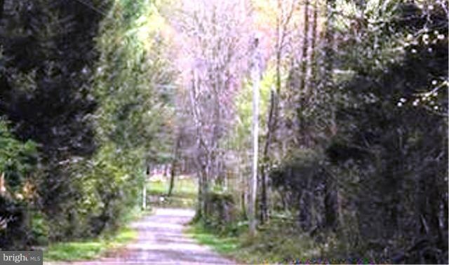 4483 Pinecrest Ln, Catlett, VA 20119 - photo 1