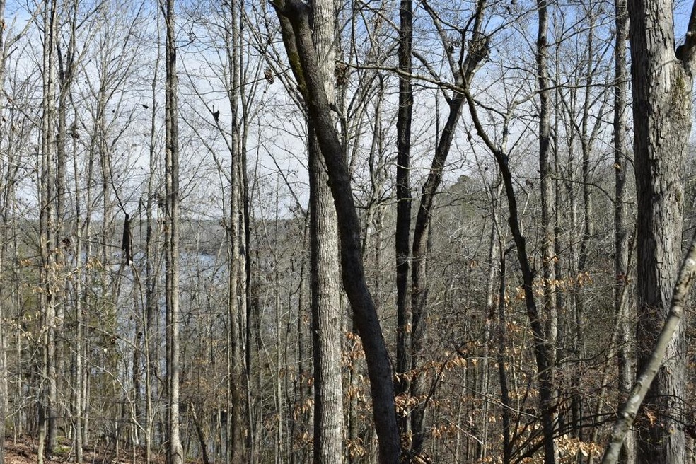 3 Millstone Creek Rd, Elberton, GA 30635 - photo 1