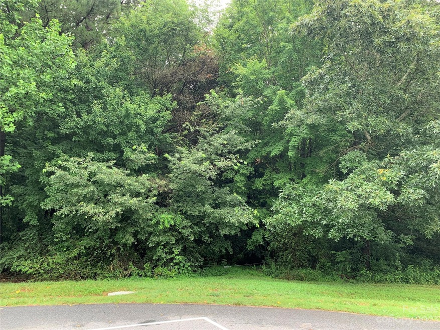 148 Ridgeview Rd, 12 Ridgeview Rd unit 124, Statesville, NC 28625 - photo 1