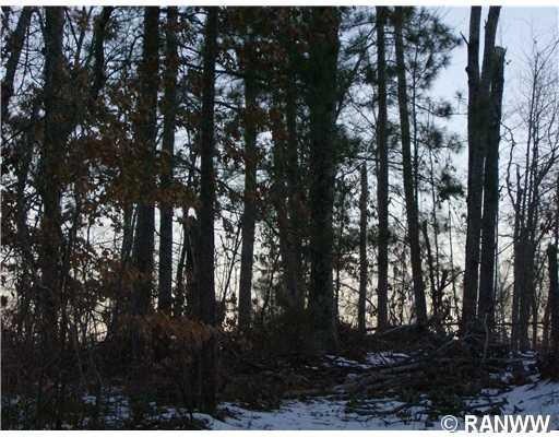44 Lot Deerpath Trail, Jackson, WI 54830 - photo 1