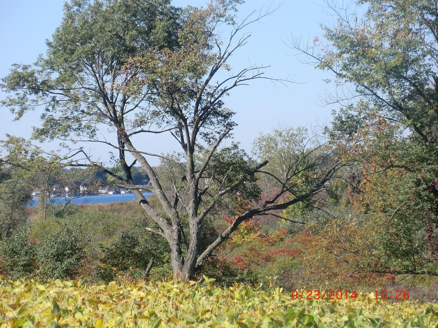 CIMG9531