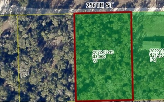 TBD 256th St, O'Brien, FL 32071 - photo 1