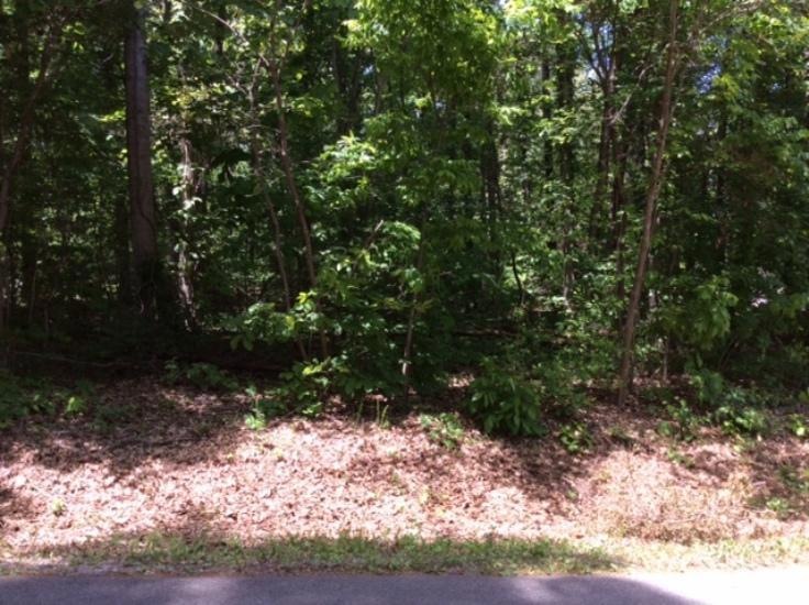 Tigitsi Lane Lot