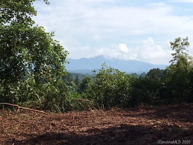 160 Piney View Estates unit 8, Marshall, NC 28753 - photo 1