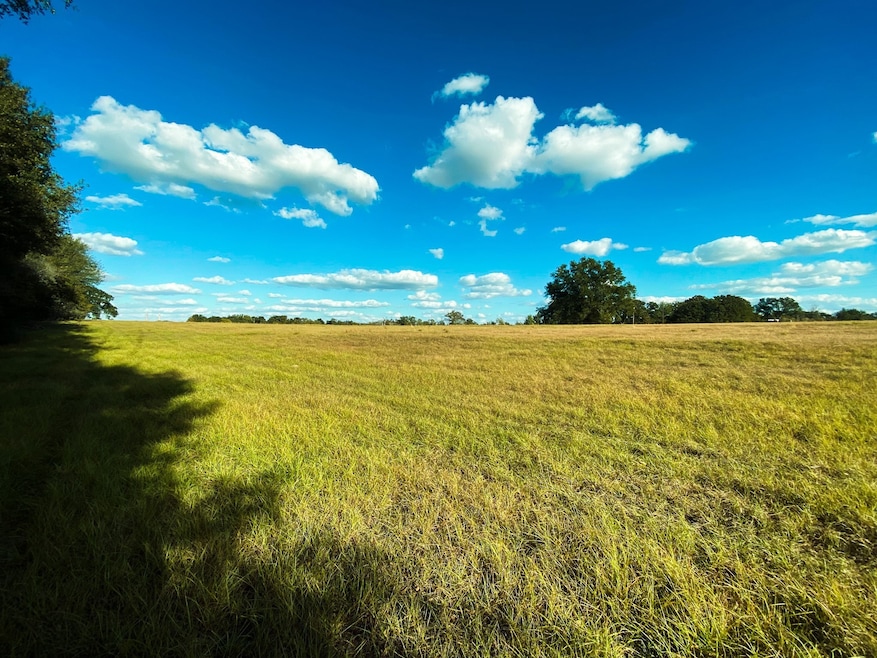 00 Lcr 890, Jewett, TX 75846 - photo 1