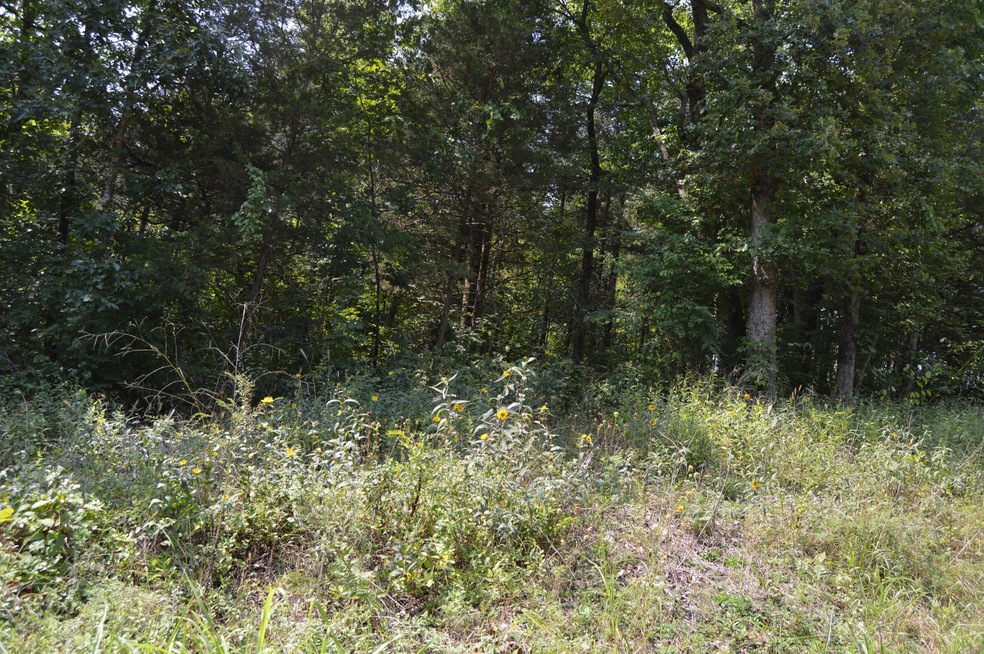 DSC_0094
