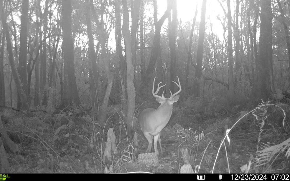 0 County Line & Prine unit 129261, Lee, FL 32059 - photo 1