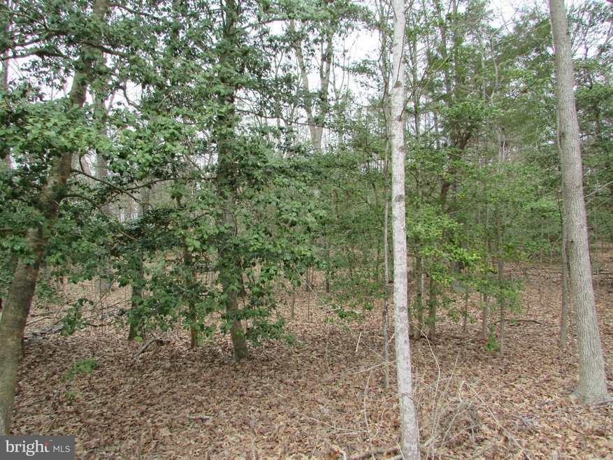 Lot 10 Settlers Ln, Washington, VA 22520 - photo 1