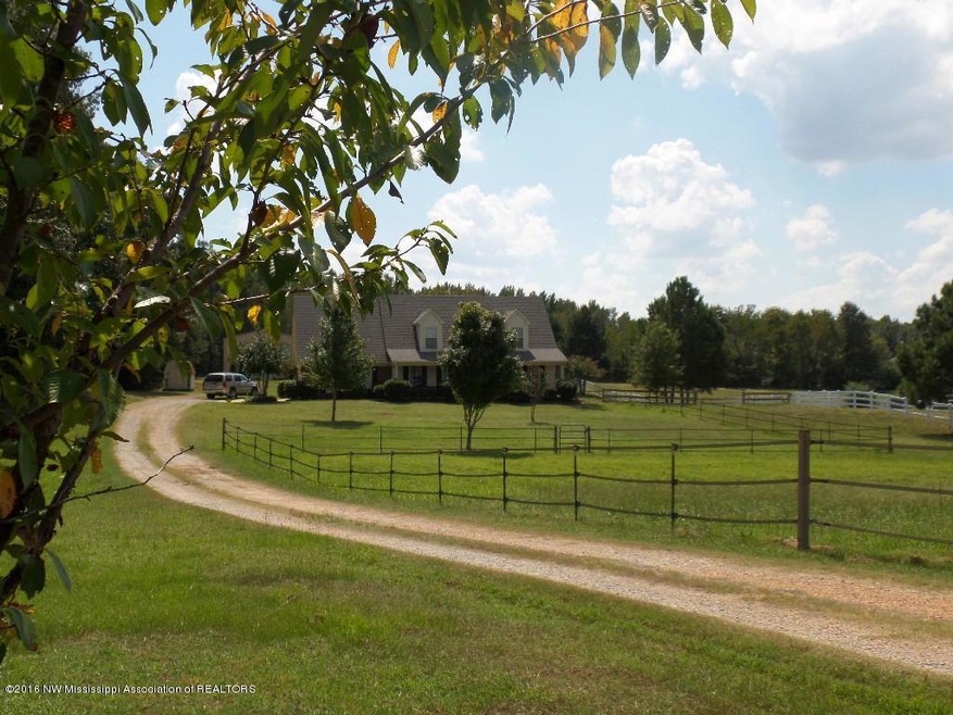 1017 W Oak Grove Rd, Hernando, MS 38632 - photo 1