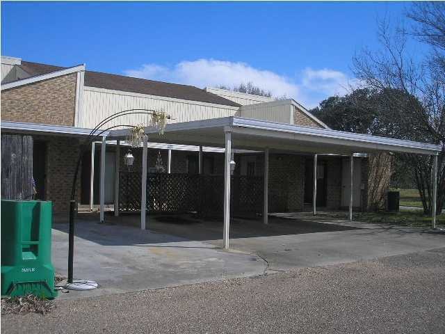 Primary Photo