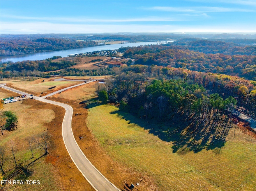 4344 Old Dogwood Trail, Loudon, TN 37774 - photo 1
