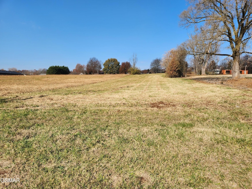 7300 W Andrew Johnson Hwy, Talbott, TN 37877 - photo 1