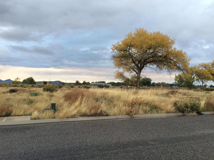 4541 N 150 W, Cedar City, UT 84721 - photo 1