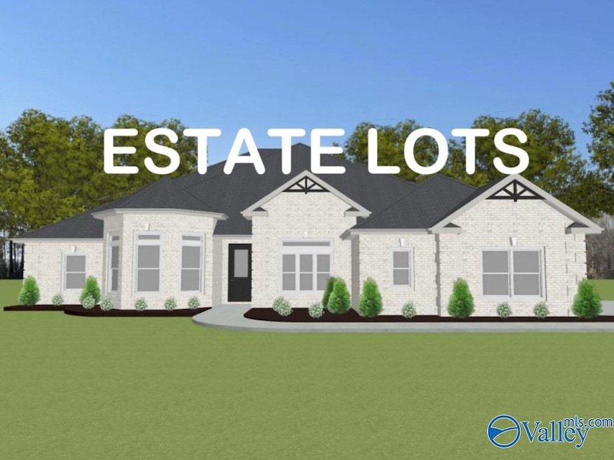 Alexandria-B Newby Chapel Rd, Athens, AL 35613 - photo 1