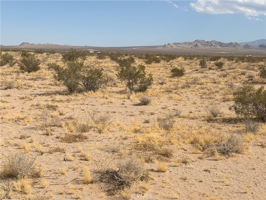 0 Saxon Rd, Lucerne Valley, CA 92356 - photo 1
