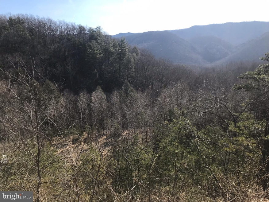 1082 Lower North Fork Rd, Seneca Rocks, WV 26884 - photo 1