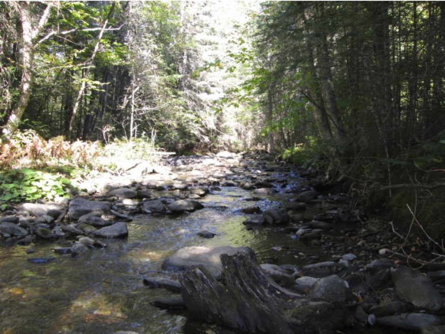 0 Dostie Dr, Stewartstown, NH 03576 - photo 1