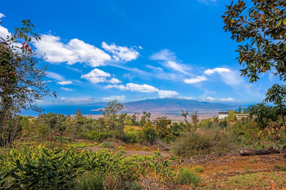0 Haleakala Hwy unit B, Kula, HI 96790 - photo 1