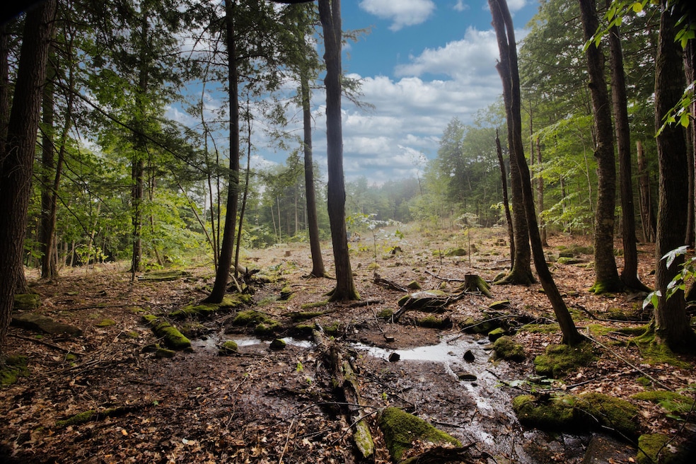 Lot 2 North Rd, Bridgton, ME 04009 - photo 1