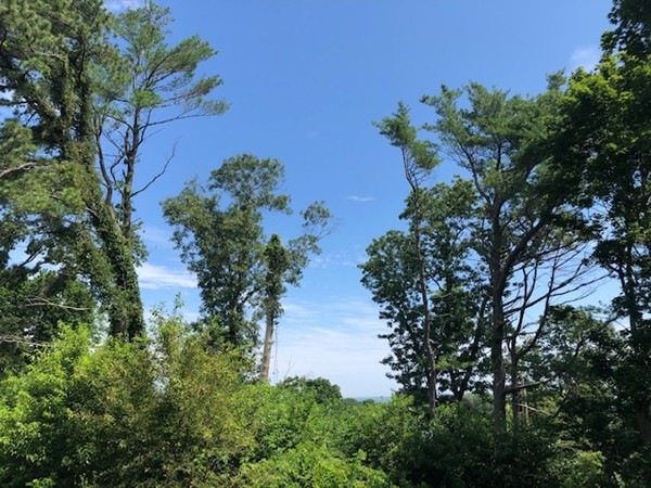 21 Hall St, Plymouth, MA 02360 - photo 1